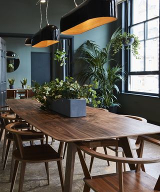 Dark green paint and plants in dining space in b_together