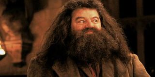 Robby Coltrane as Hagrid in the Harry Potter movies