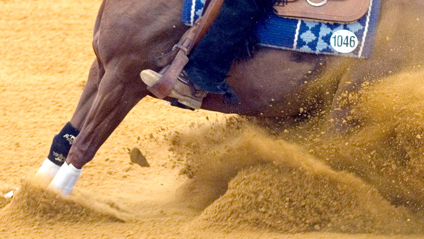 Reining, Shal Kaneti, Israel, on Ruffles Remedy, World Equestrian Games 2006 in Aachen, North Rhine-Westphalia
