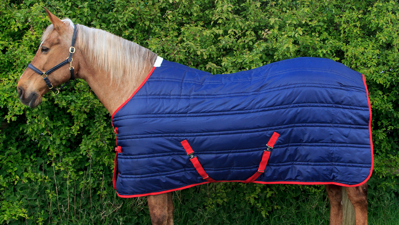 Whitaker Thomas cheap stable rug