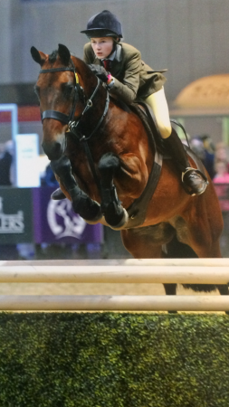 Cash competing at HOYS previously