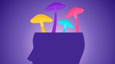 A cartoon of a series of mushrooms on a person's head.