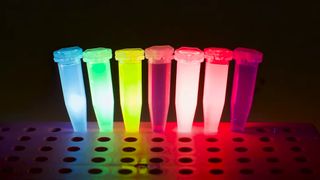 Fluorescent dye data storage