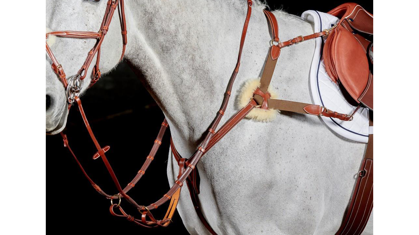 Whitaker Valencia 5-Point Breastplate