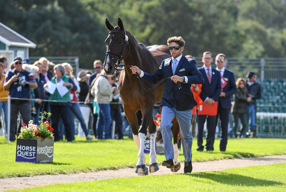 Arthur Chabert_GOLDSMITHS IMBER_LRBHT_PN19_102612