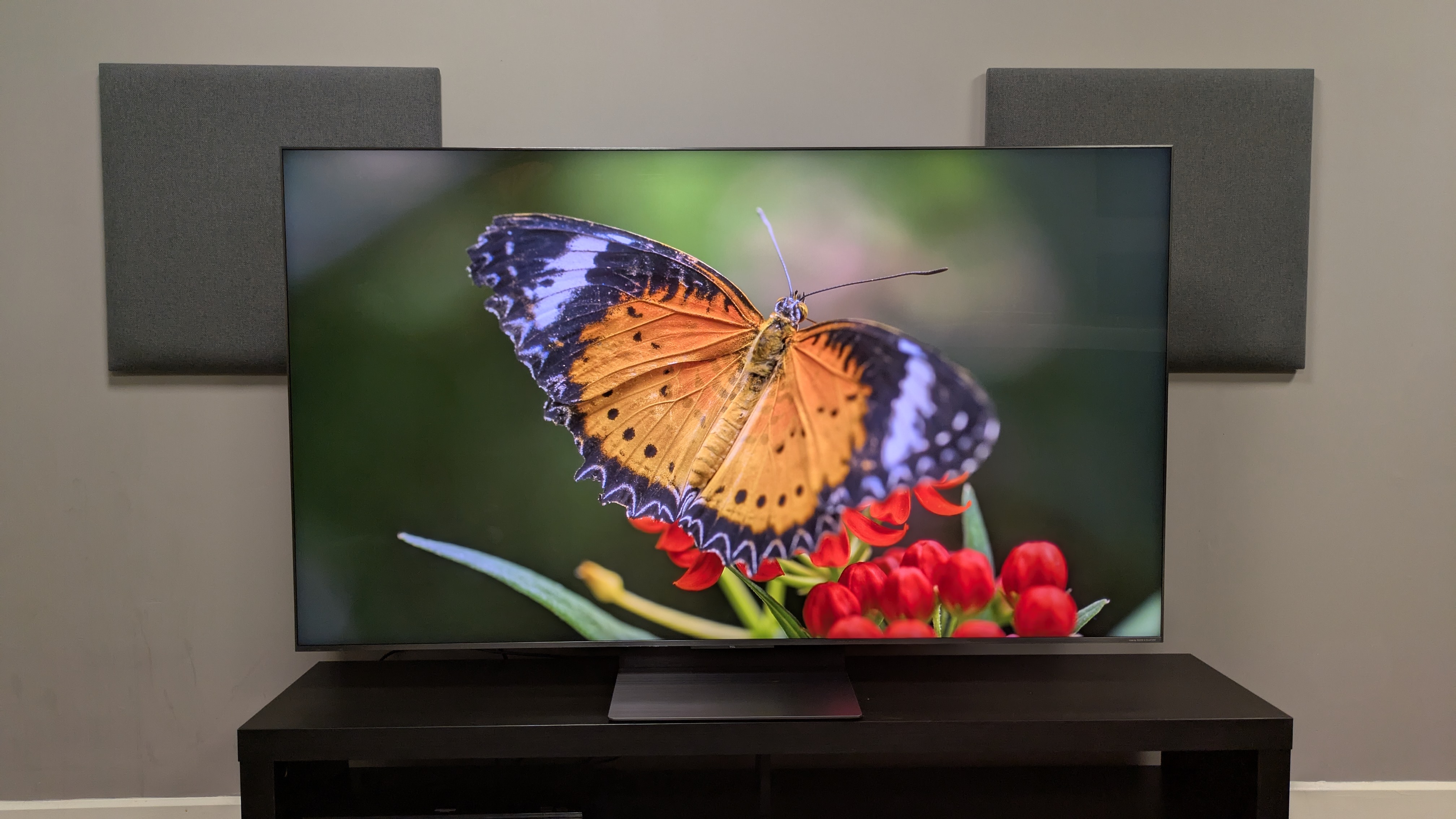 TCL C8K with orang butterfly on screen