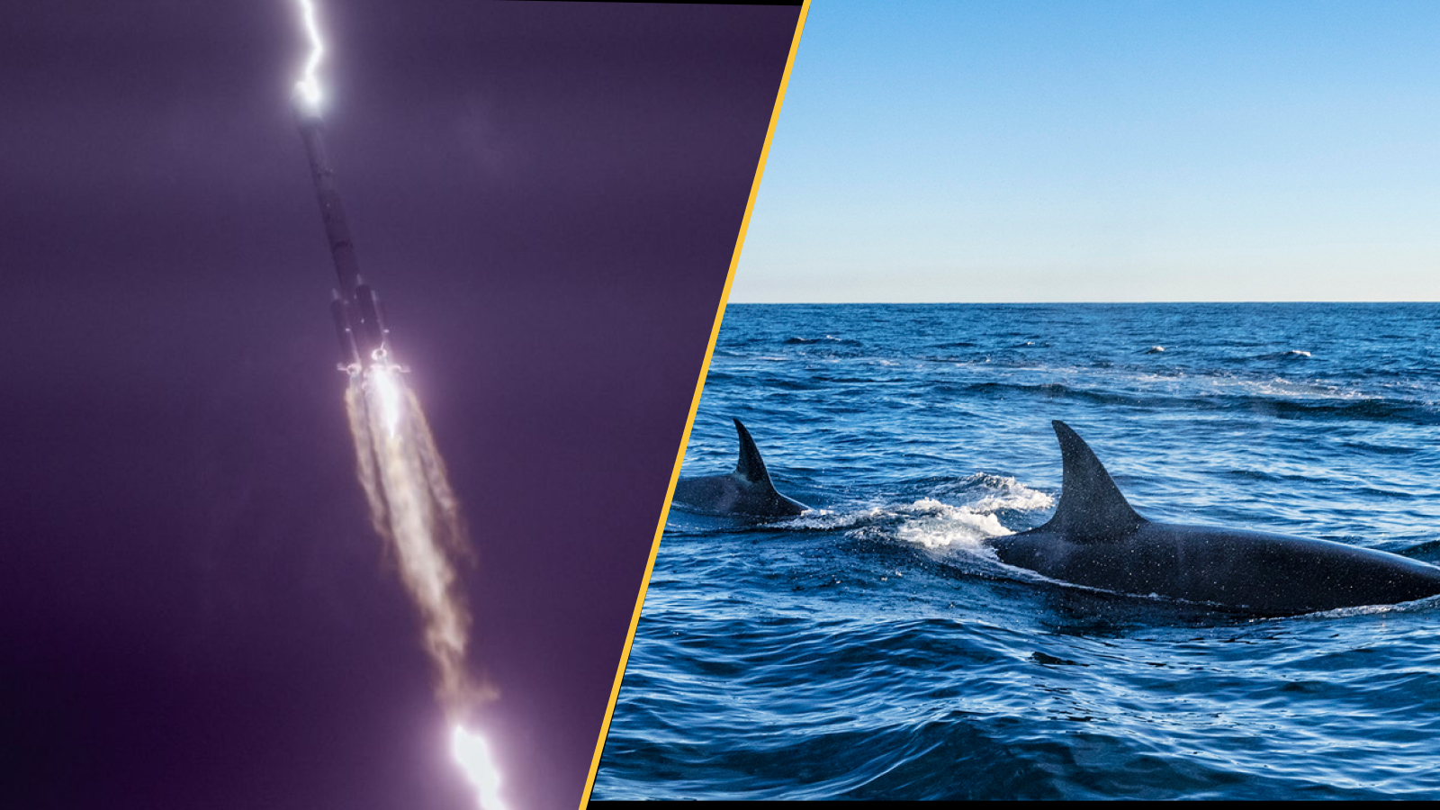 A rocket is struck be lightning (left). Orca fins rise from the sea surface (right).