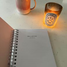 Flow state: Anna's journal during her trial