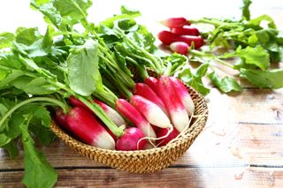 Radishes should be eating as soon as possible after picking them