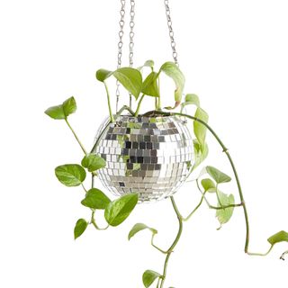 Disco ball hanging planter