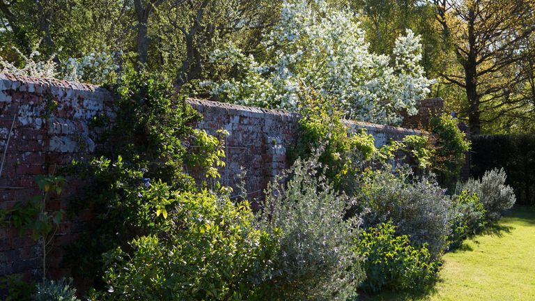 walled garden in spring