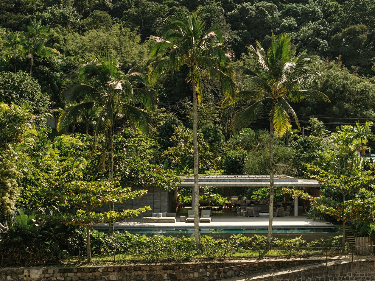Minimalist Brazilian house amid forested landscape