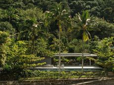 green work by work by Rodrigo Oliviera landscape architect against modern buildings