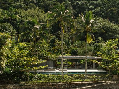 green work by work by Rodrigo Oliviera landscape architect against modern buildings