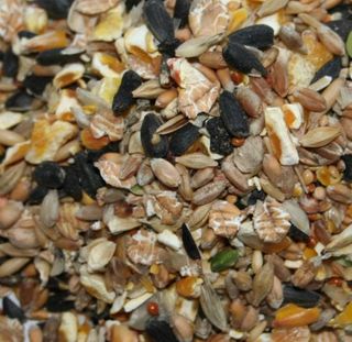 seed mix