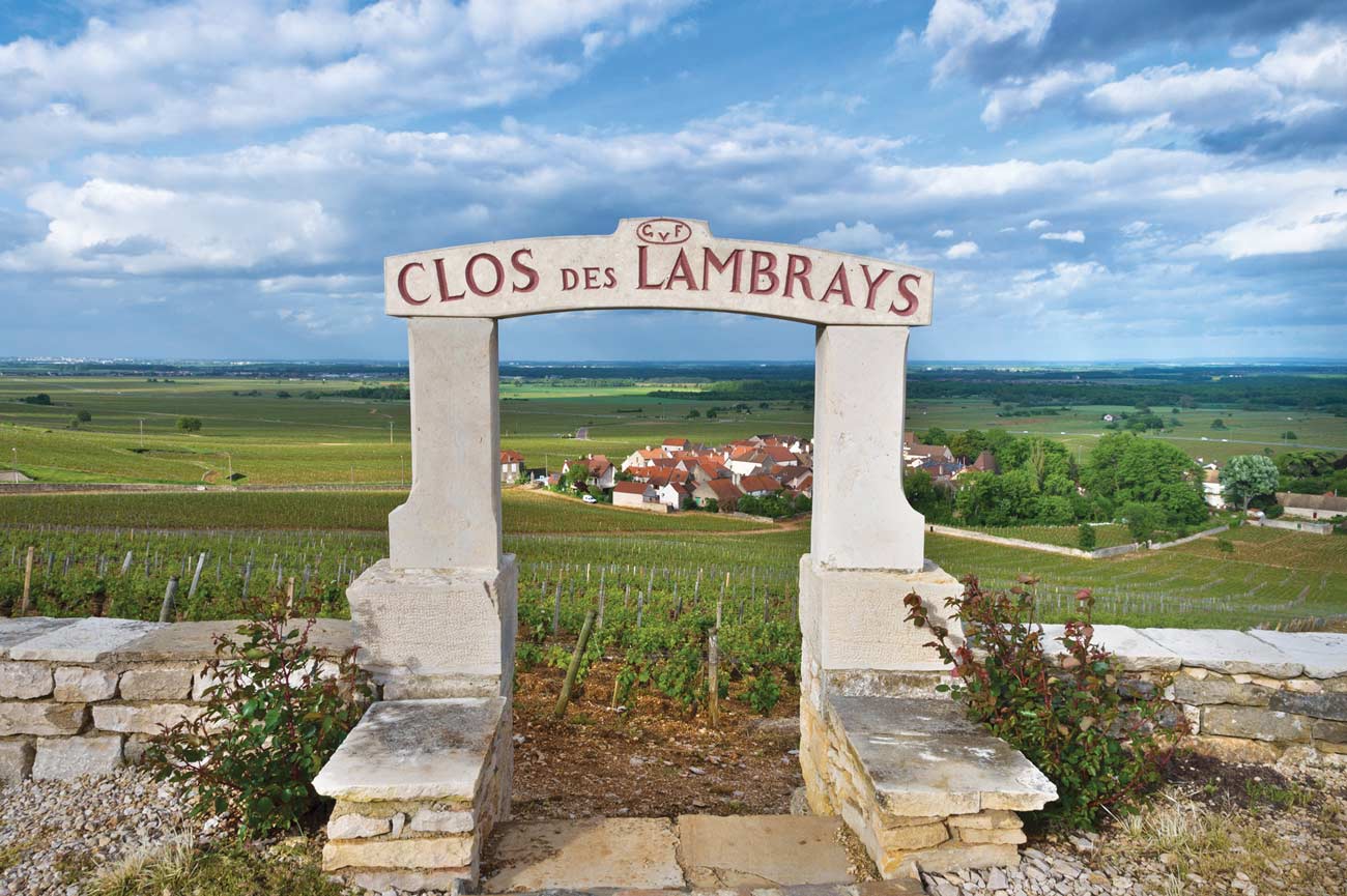 The Clos de Lambrays vineyard