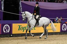 HorseNo853_HOYS_PN18_182680.jpg