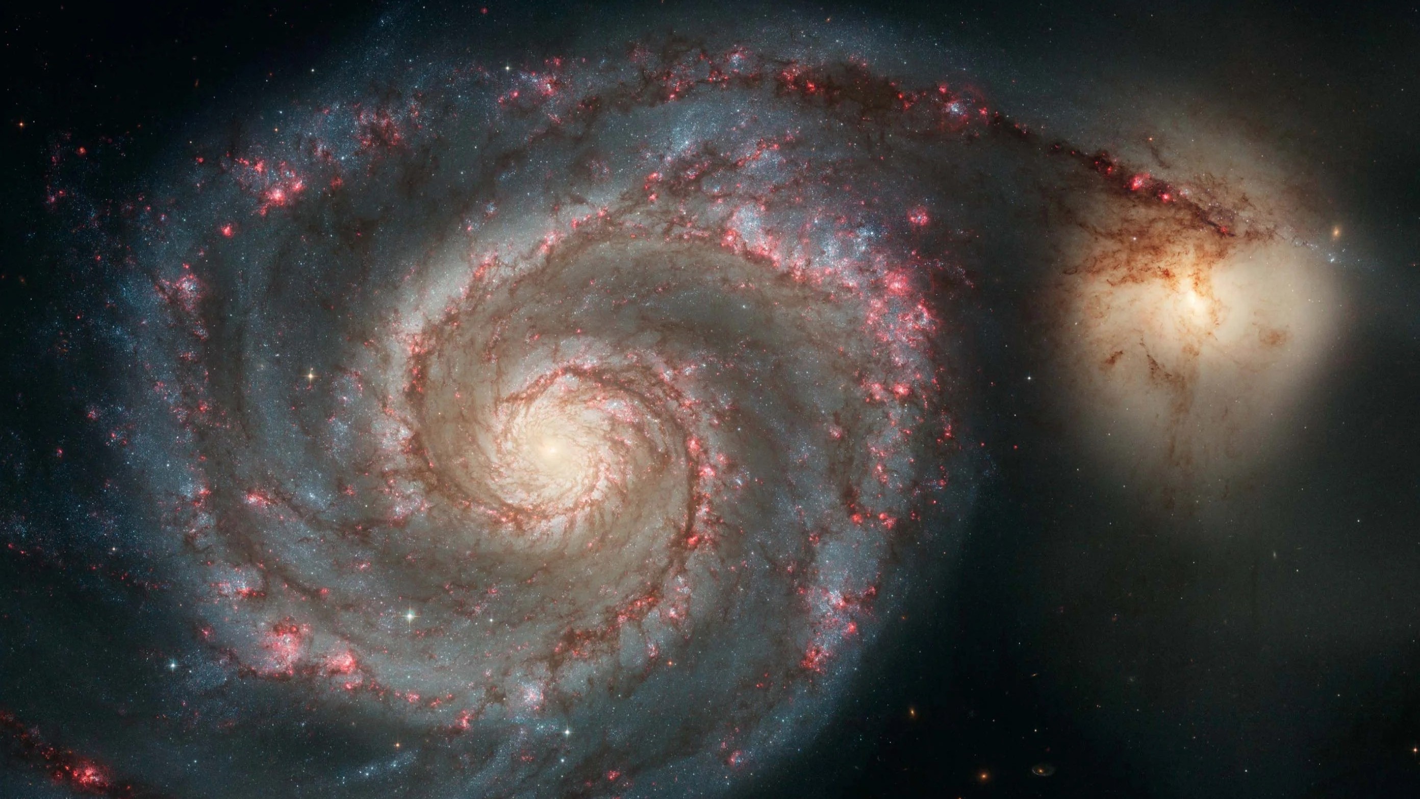 The Whirlpool Galaxy, M51, is a spiral galaxy located 31 million light-years away. It highlights the attributes of a typical spiral galaxy, including graceful, curving arms, pink star-forming regions, and brilliant blue strands of star clusters.