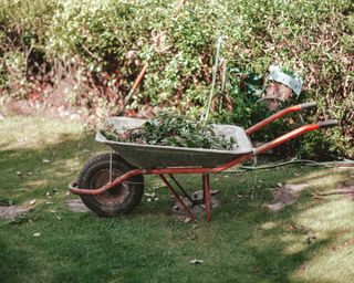 A wheelbarrow in garden