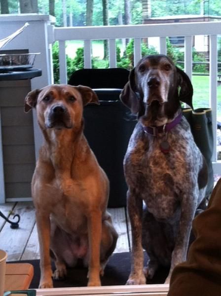 Jeb and Molly have been the local mascots all week