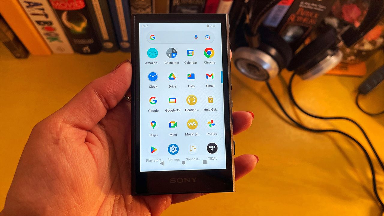 Portable music player: Sony NW-A306
