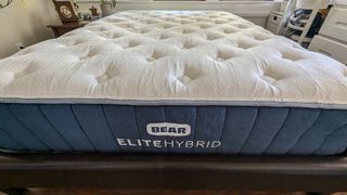 Bear Elite Hybrid mattress, front view