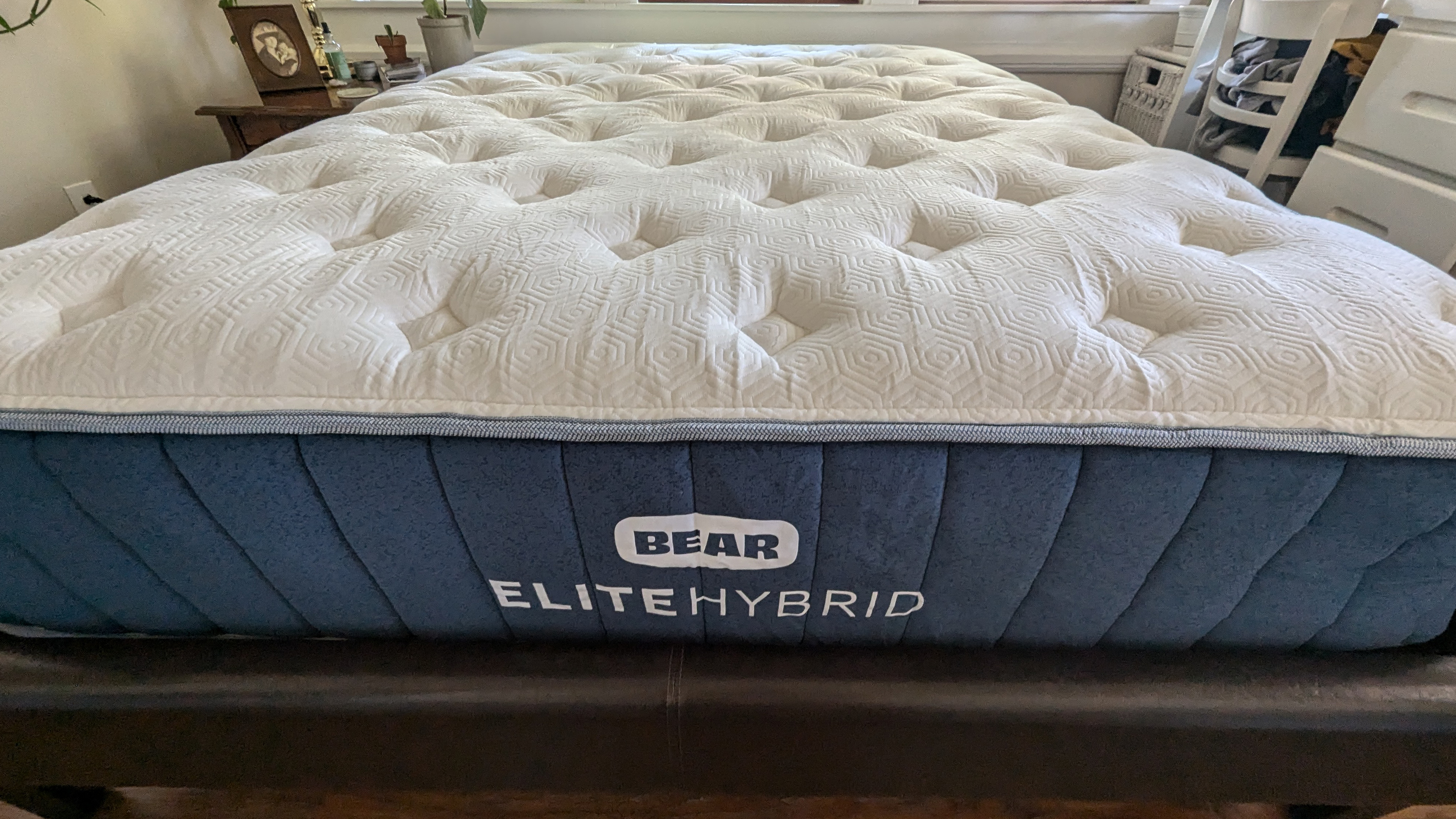 Bear Elite Hybrid Mattress Front View