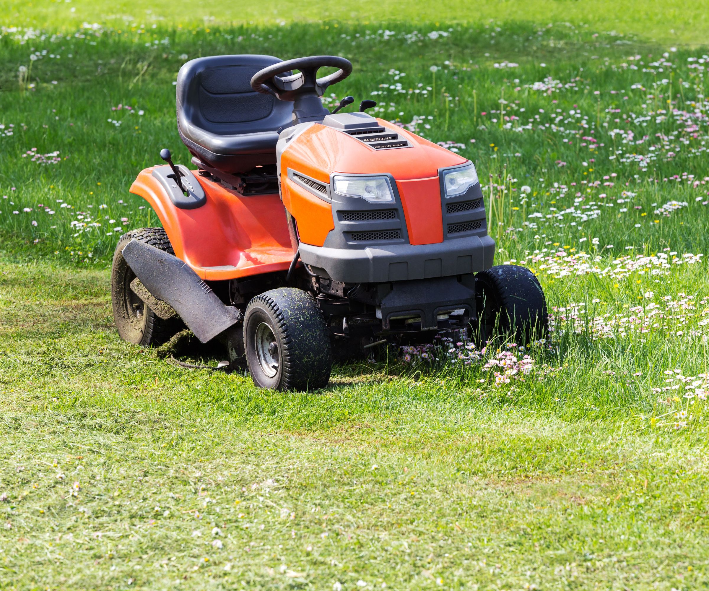 A riding mower cutting flowers and high grass