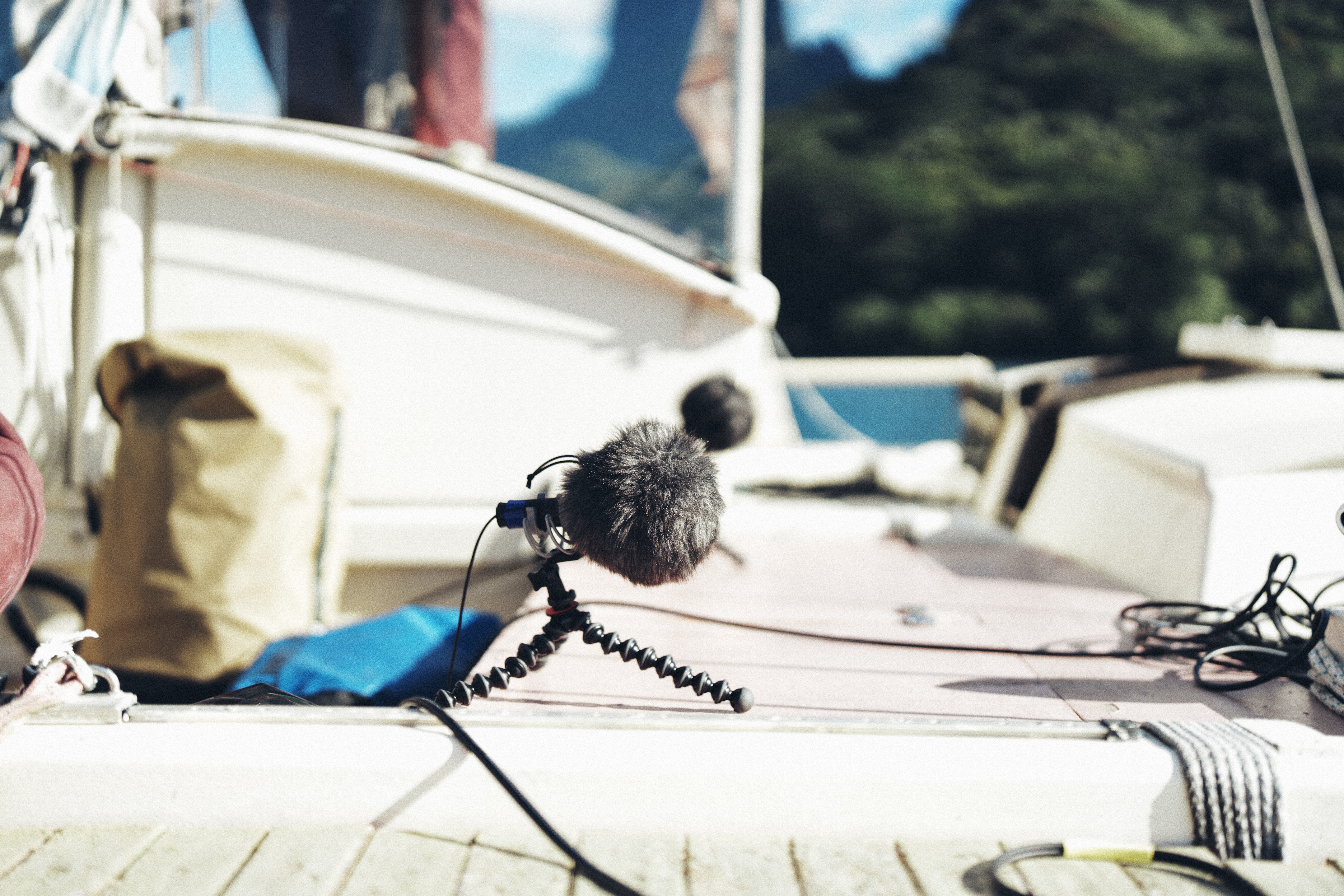 Capturing the above-water sounds were a total of four omni MKH 8020s.