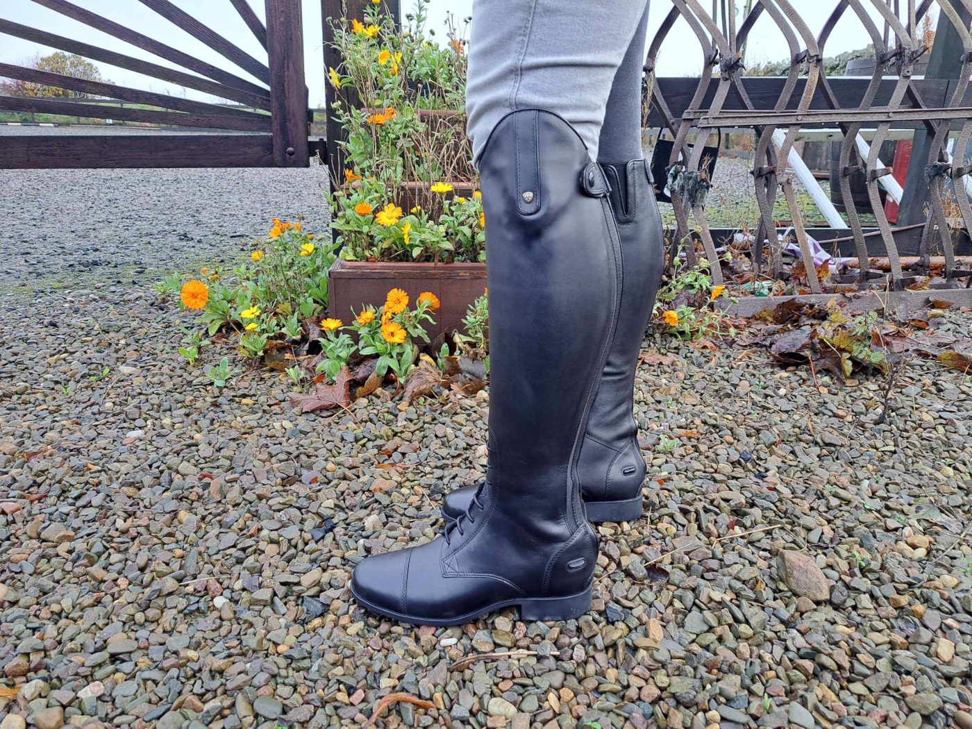 Ariat10.jpg