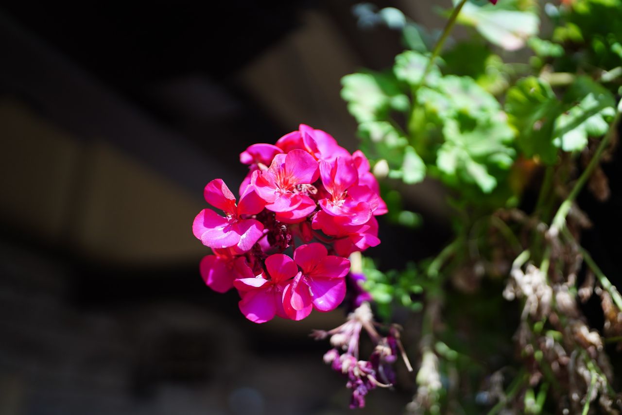 Viltrox AF 35mm f/1.4 Pro sample image