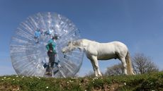 Emma-Massingale-zorb.jpg