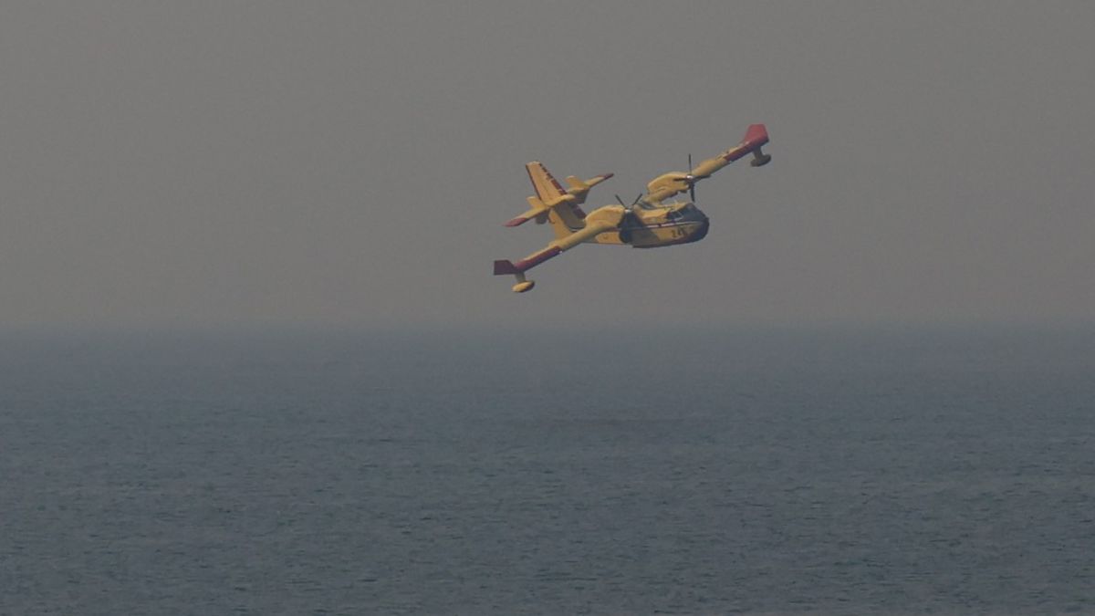 A plane fighting the Palisades fire in January 2025.