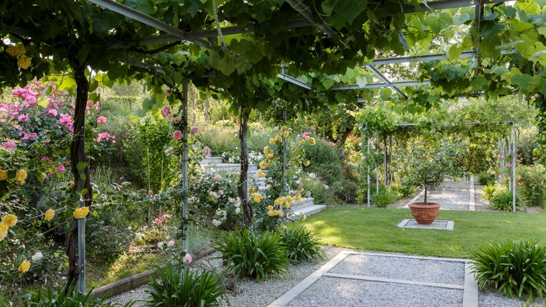 How To Create A Mediterranean Garden Planting A Dry Garden Country