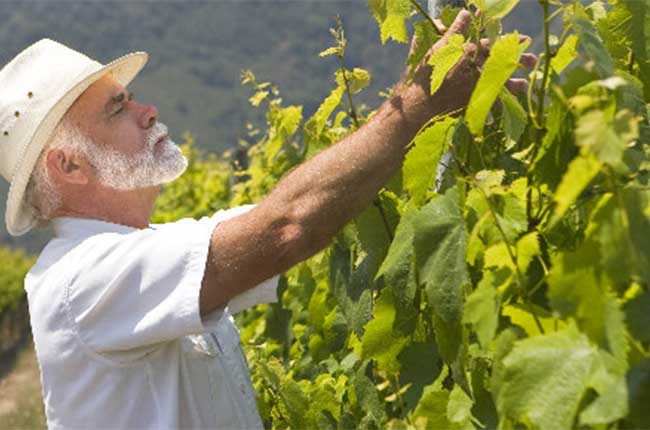 Rob Talbott, Talbott Vineyards