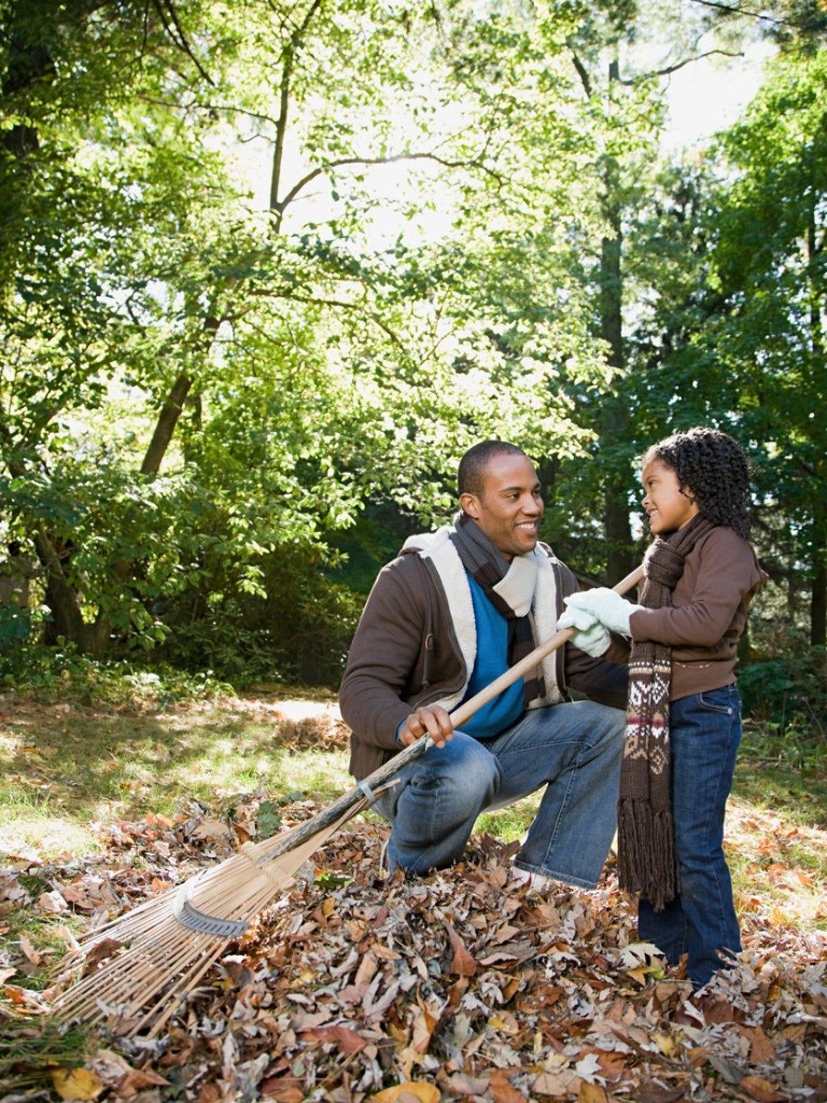 Dad And Daughter Raking Leaves