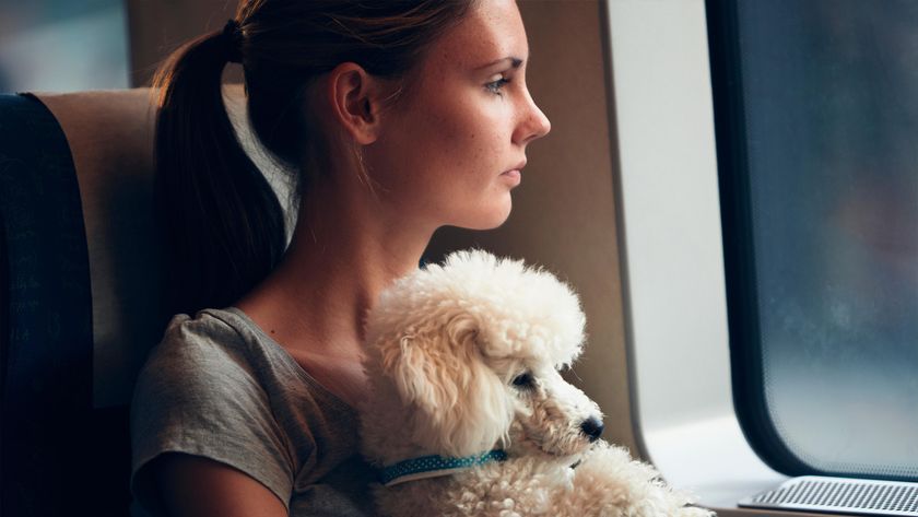 Overwhelmed dog owner on train with poodle