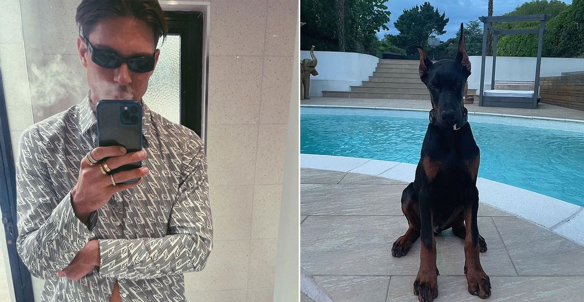 Joey Essex and a Doberman Pinscher