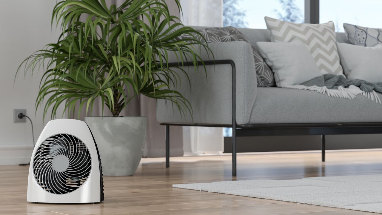 Portable electric fan heater in living room