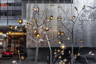 The glass-and-steel trees