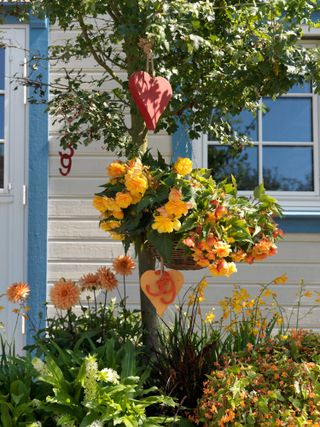 hanging basket ideas: yellow flowers and hanging house number sign