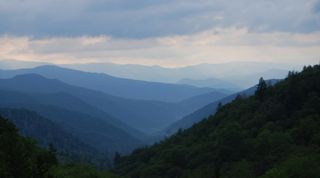 A misty morning at the Great Smoky Mountains. Image: CC0 Creative Commons