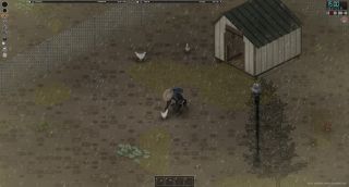 Petting a chicken in Project Zomboid Build 42 beta