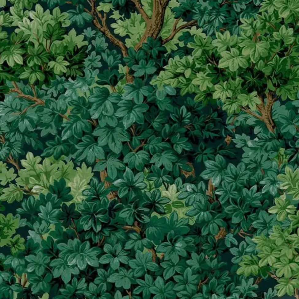 Graham & Brown, Coppice Forrest Wallpaper