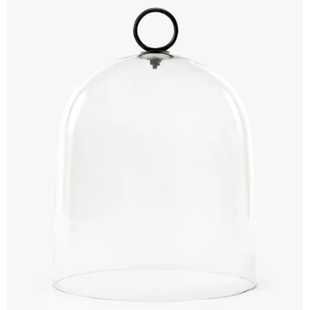 glass cloche with black ring handle