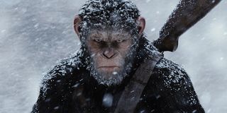 War For The Planet Of The Apes Caesar Has A Gun
