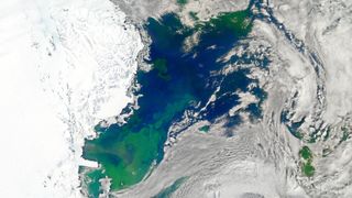 A surface phytoplankton bloom in the Ross Sea in Antarctica captured by NASA's Aqua satellite on Jan. 11 2011. New research suggests blooms like this may also exist further beneath the surface in both of Earth's polar regions.