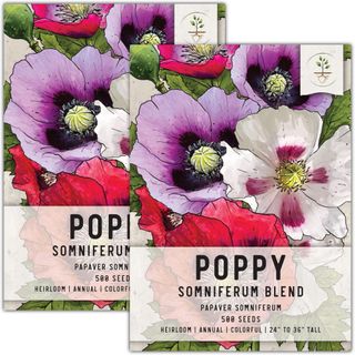 Poppy Seeds