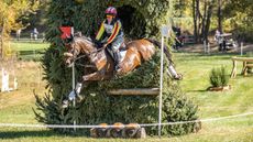 Maryland 5 Star &ndash; Buck Davidson and Sorocaima finish fourth in 2024