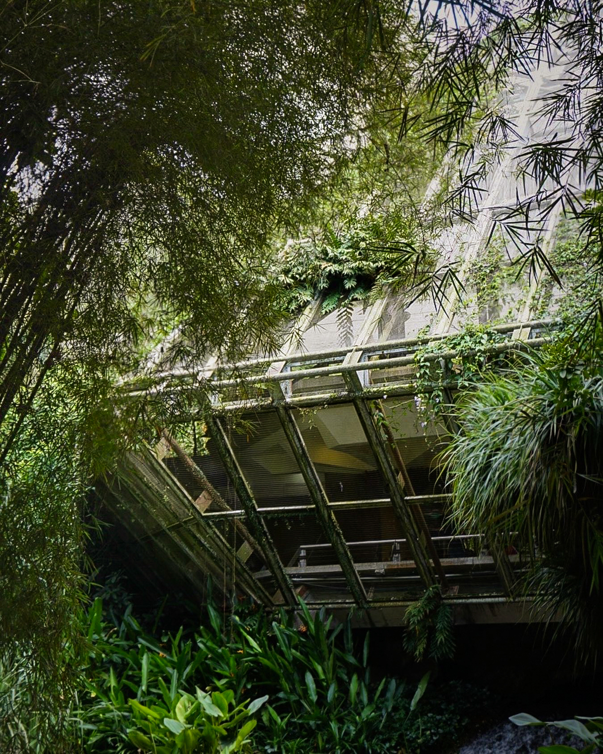 eco-brutalism Jurong Bird Park